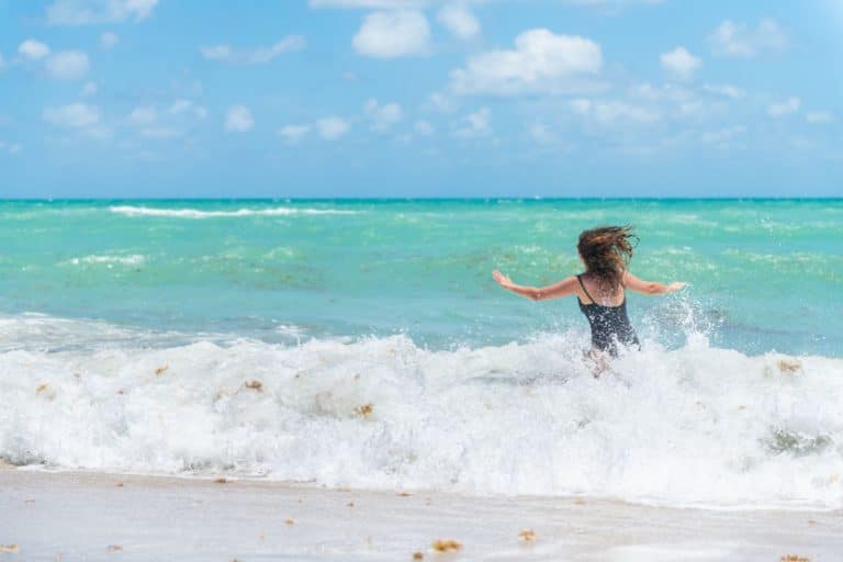 Florida's Researchers Confirm That Sargassum Seaweed Belt Has Shrunk By 75%