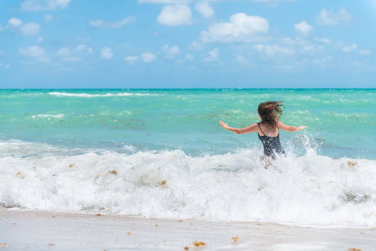 Florida's Researchers Confirm That Sargassum Seaweed Belt Has Shrunk By 75%