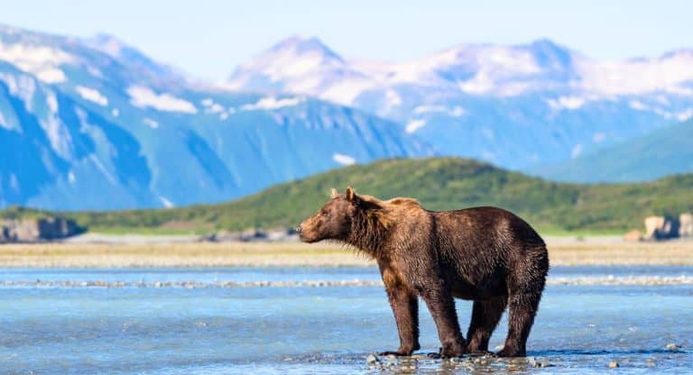 Google Reveals TOP 5 'Hidden Gem' National Parks In The U.S. To Visit In 2024