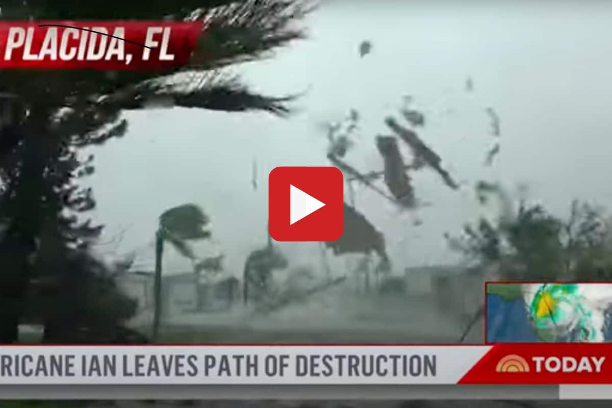 hurricane ian florida videos