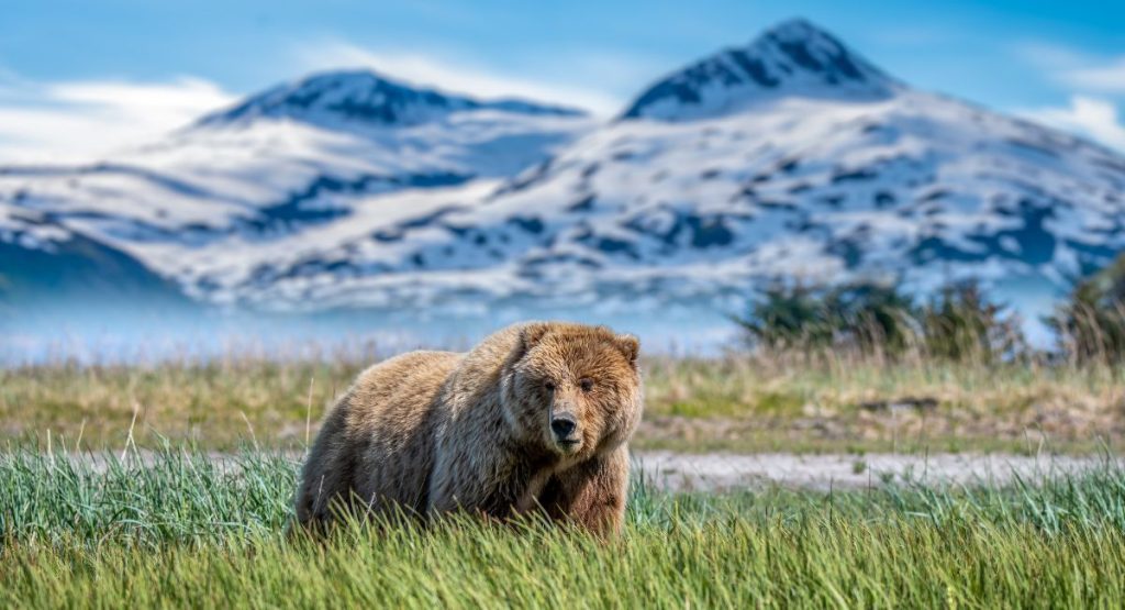 Lake Clark National Park and Preserve   