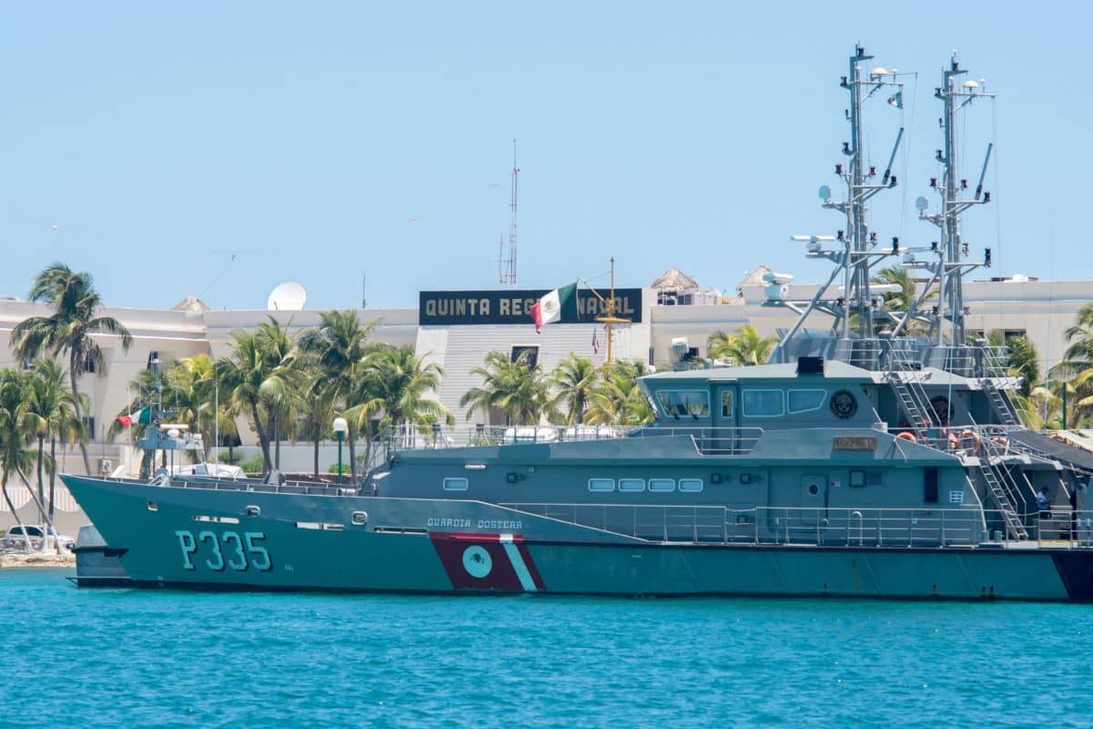 Mexican Navy Collected Over 3,000 Tons Of Sargassum In The Caribbean