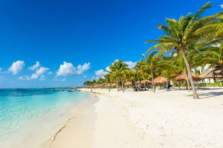 Most Beaches In The Mexican Caribbean Remain Sargassum Free In Early February