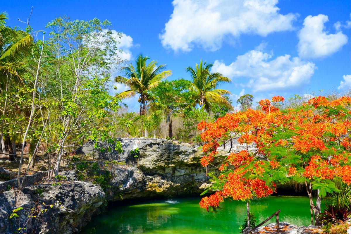 New Nature Reserve For Tourists Coming To The Mexican Caribbean