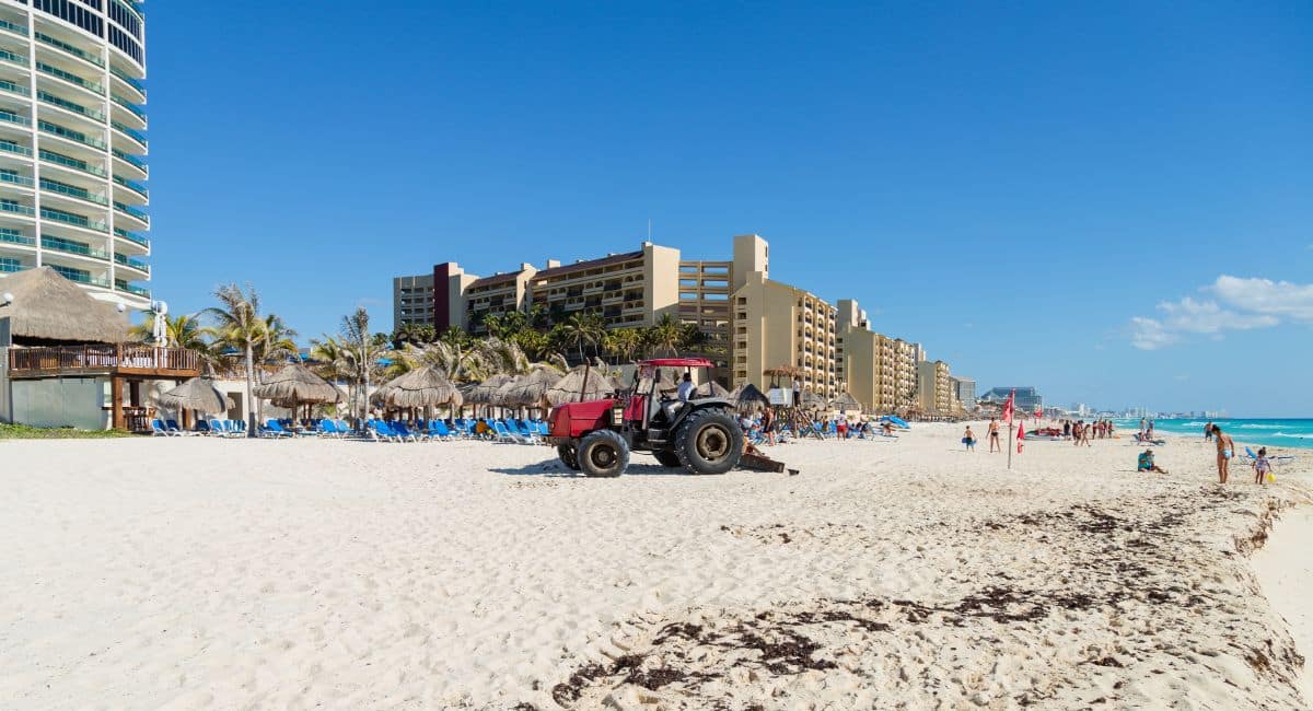 Will There No Longer Be Sargassum On The Beaches Of Cancun In 2024?